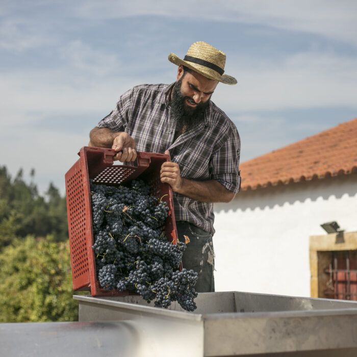 Quinta de Foz de Arouce – Experiência II