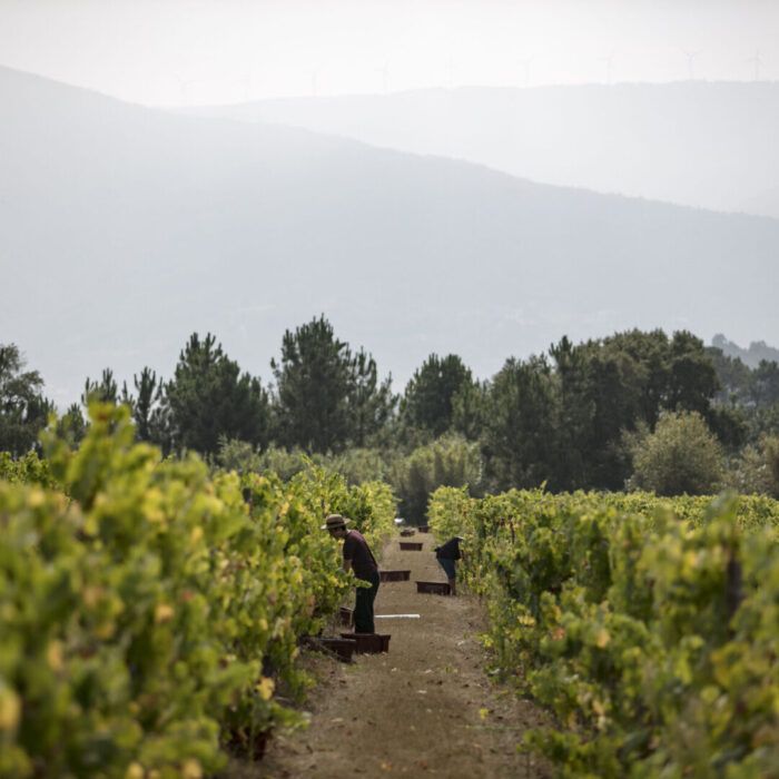 Quinta dos Condes de Foz de Arouce