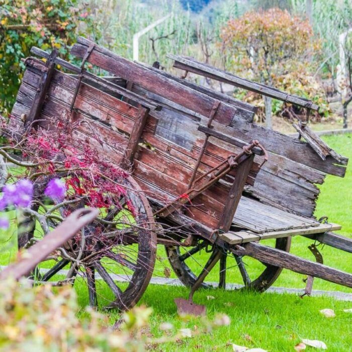Quintal Além do Ribeiro