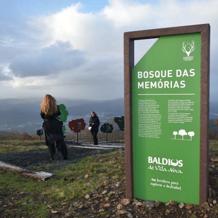 Bosque das Memórias – Experiência