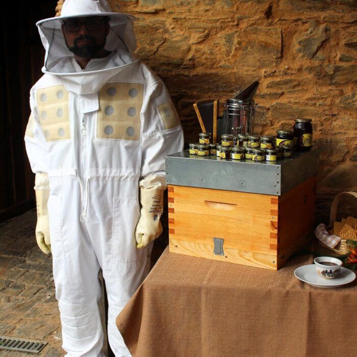 Do Néctar ao Pote: A Magia do Mel