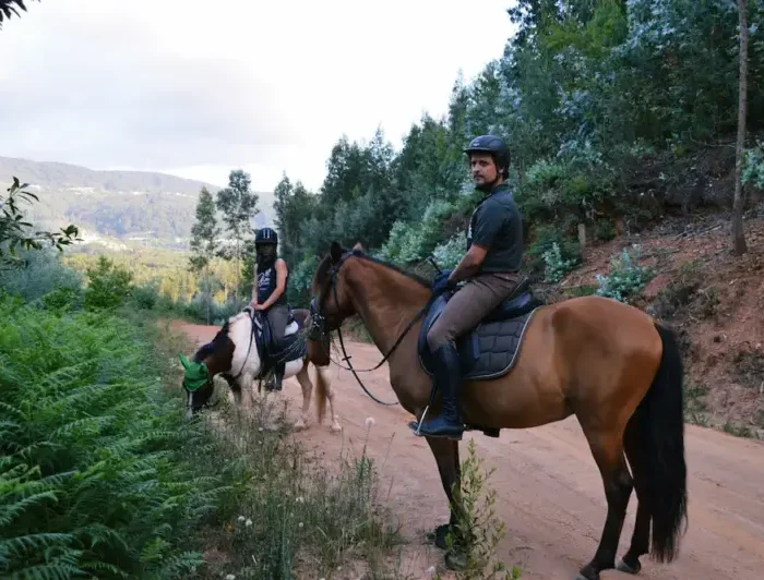 Experiências equestres