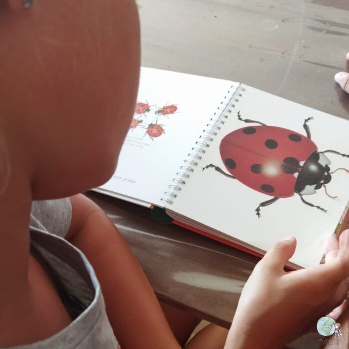 Escola do Ambiente: um Tema por Mês